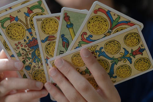 Adana Kocayı bağlama Hoca